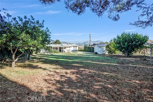 MLS #WS25247688 image #5