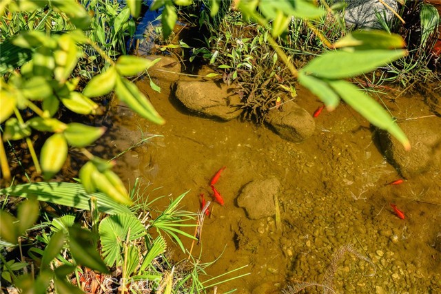 MLS #WS25248595 image #10