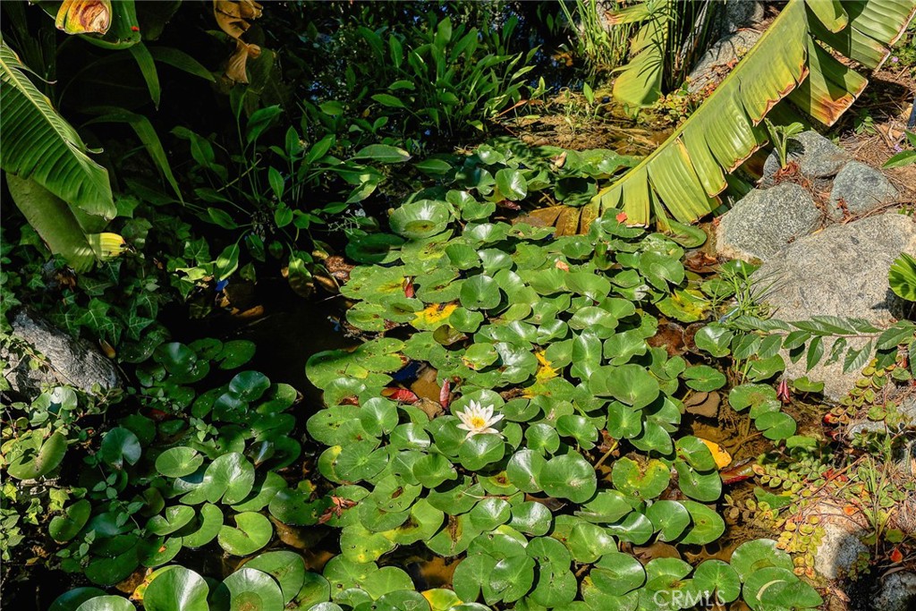 MLS #WS25248595 image #34