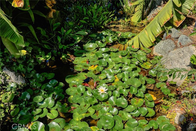 MLS #WS25248595 image #9