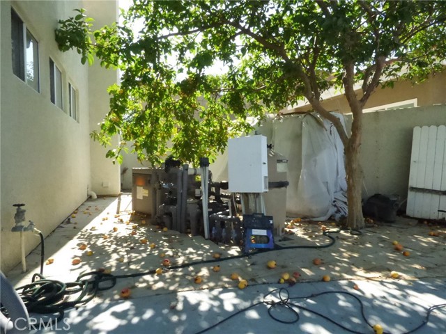 MLS #WS25249206 image #49