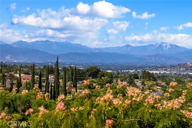 MLS #WS25250119 image #54