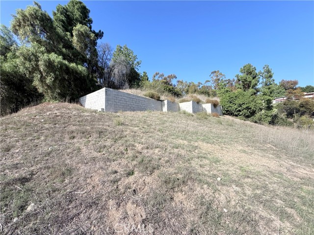 MLS #WS25252359 image #6