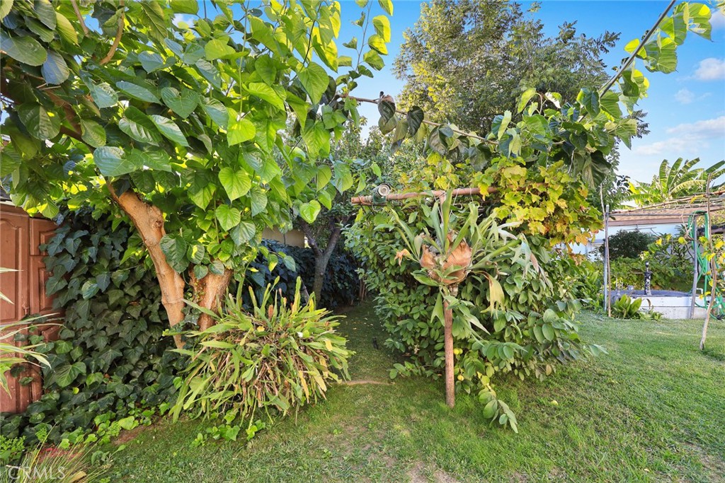 MLS #WS25253165 image #11