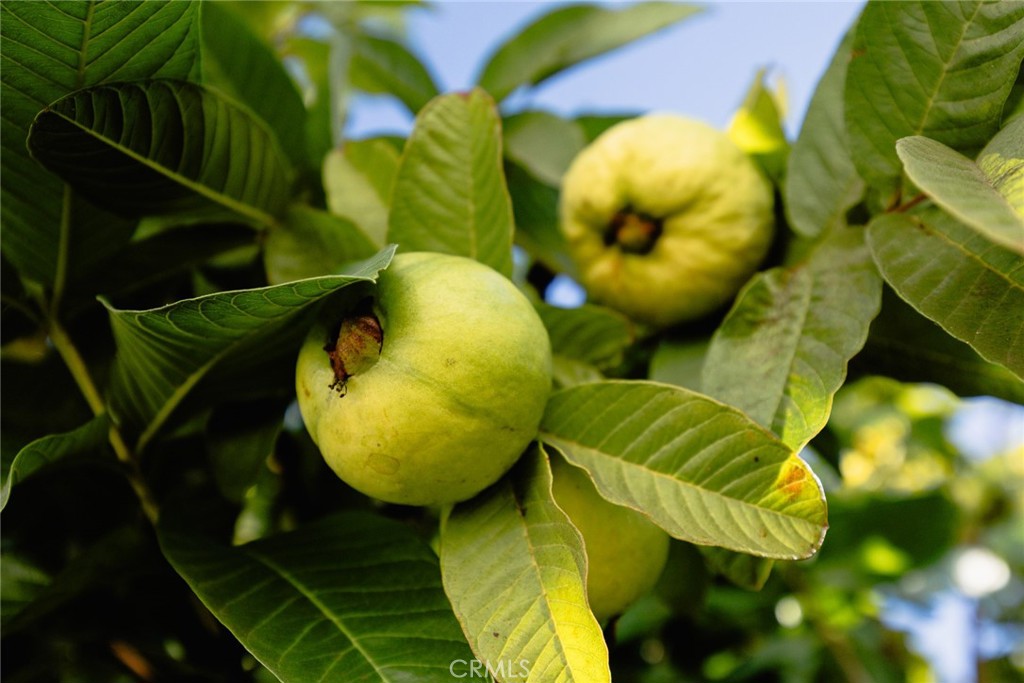 MLS #WS25253165 image #16