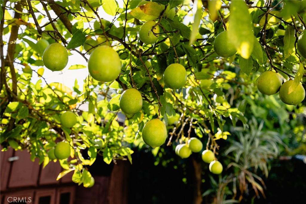 MLS #WS25253165 image #17