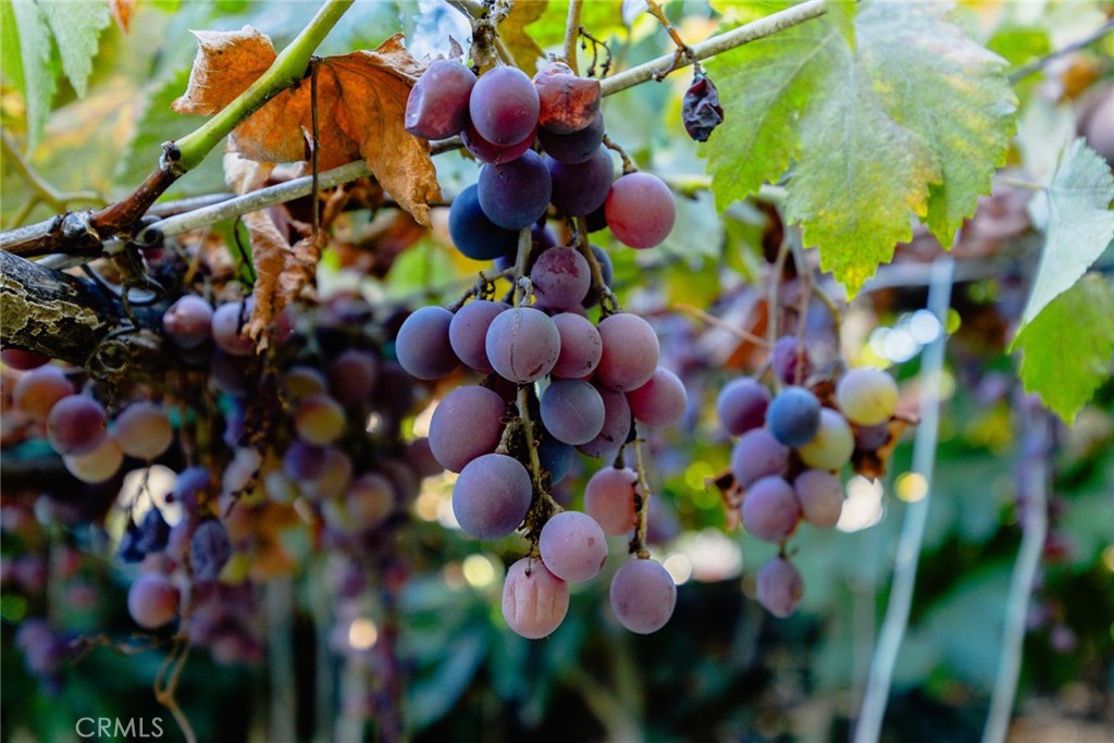 MLS #WS25253165 image #19