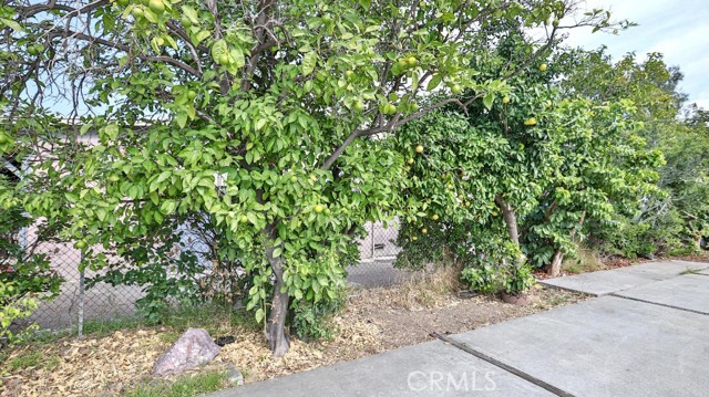 MLS #WS25253534 image #51