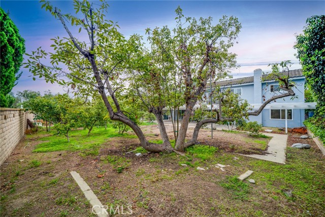 MLS #WS25254209 image #35