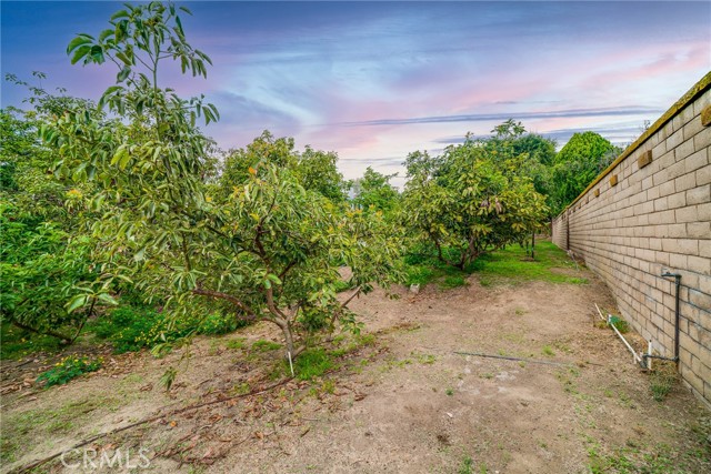 MLS #WS25254209 image #44