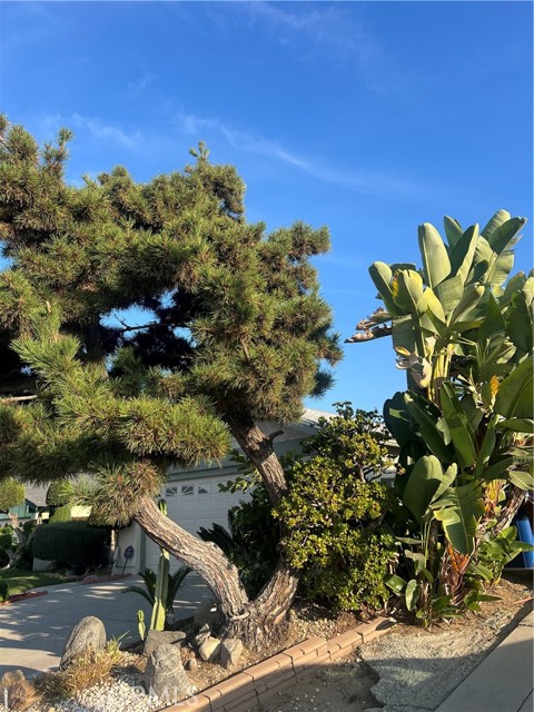 MLS #WS25255805 image #30