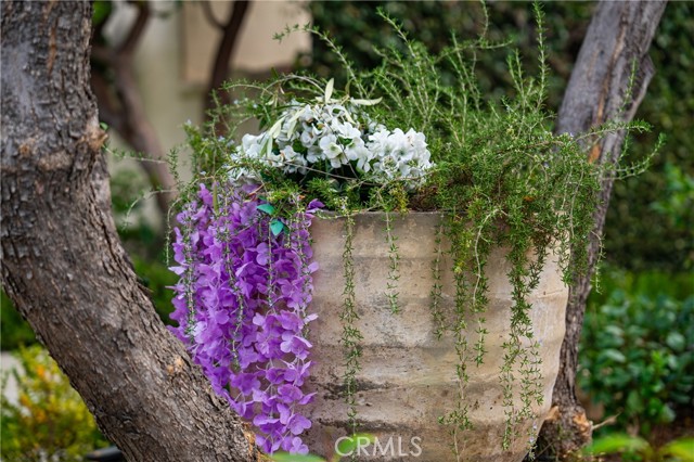 MLS #WS25258023 image #52