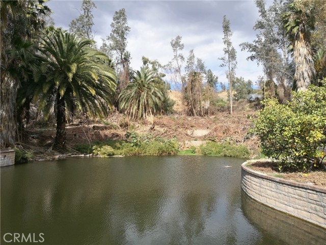 MLS #WS25261363 image #3