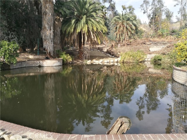 MLS #WS25261363 image #4