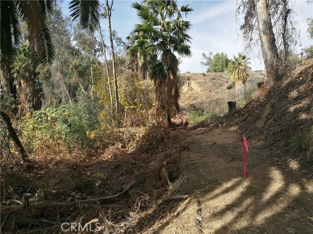 MLS #WS25261363 image #6