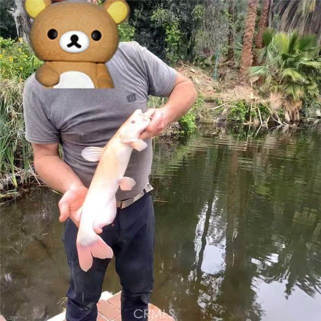 MLS #WS25261363 image #7