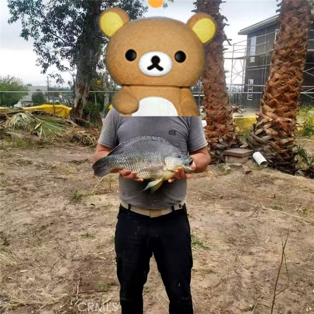 MLS #WS25261363 image #8