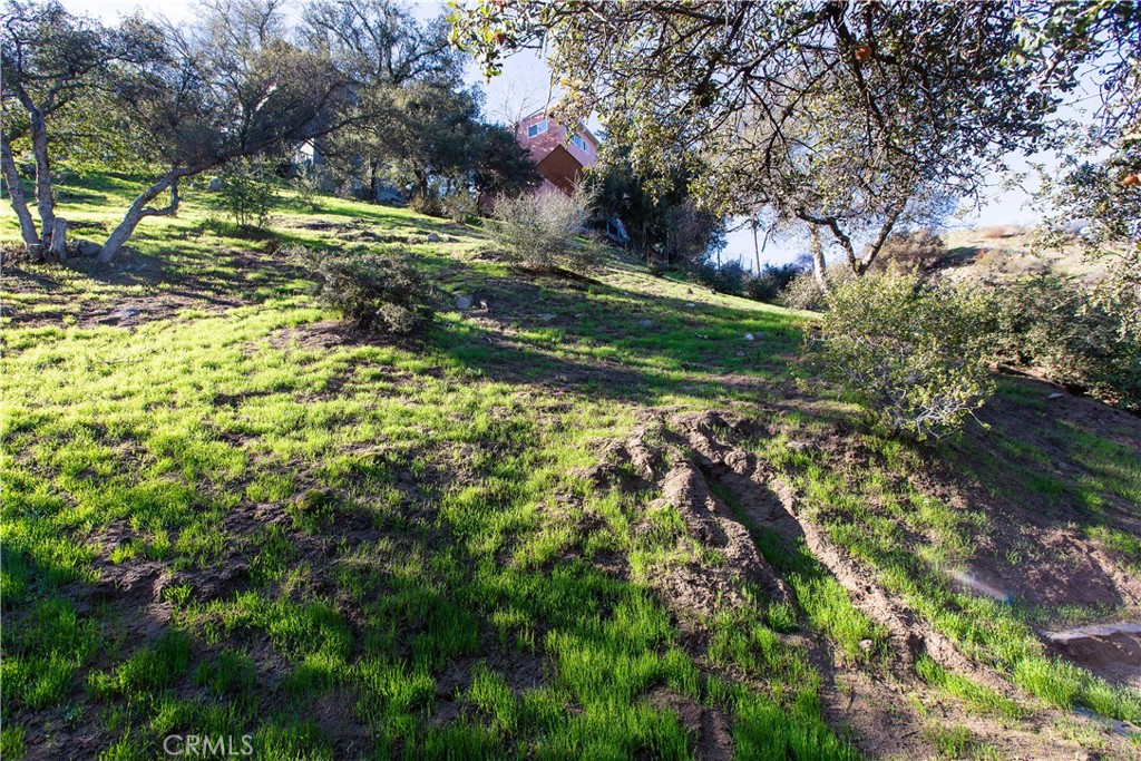 MLS #WS25261458 image #4