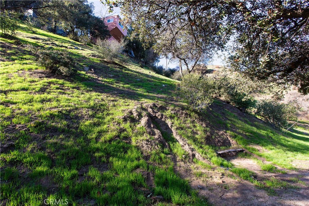 MLS #WS25261458 image #5