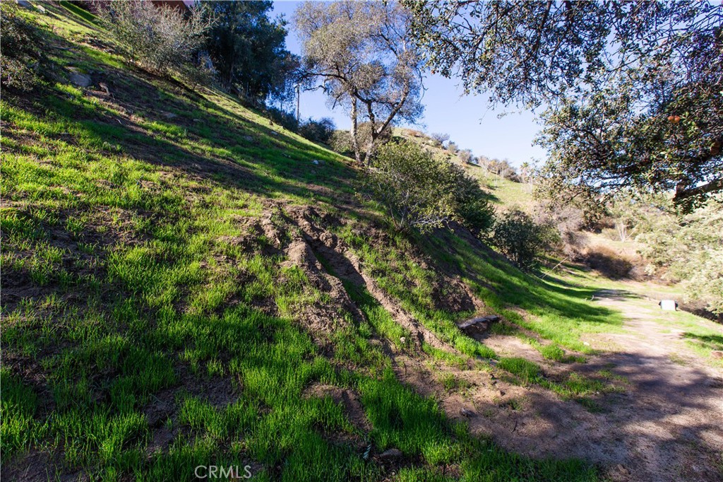 MLS #WS25261458 image #6