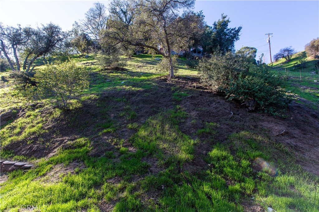 MLS #WS25261458 image #8