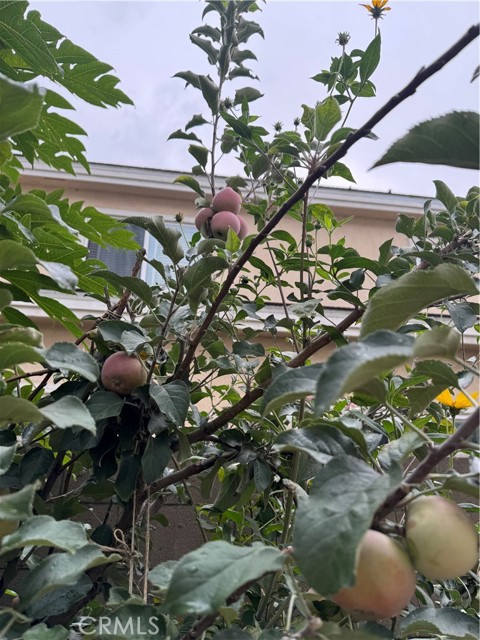 MLS #WS25261477 image #27