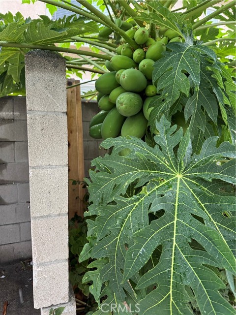 MLS #WS25261477 image #29