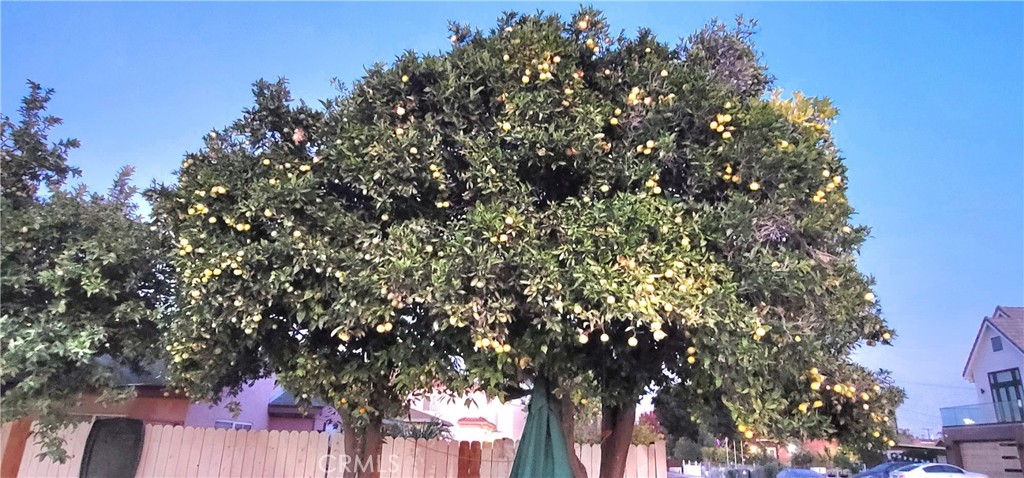 MLS #WS25268038 image #14