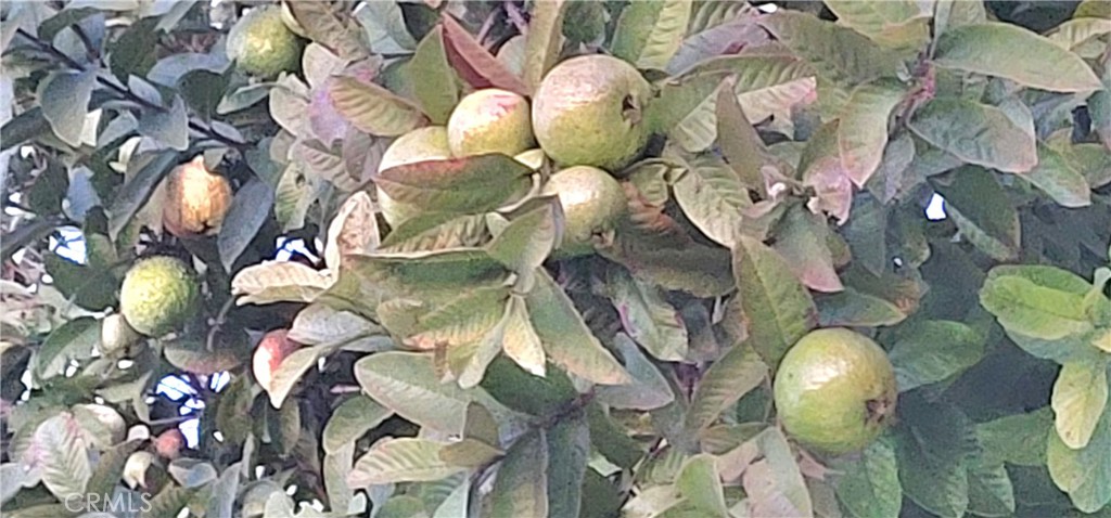 MLS #WS25268038 image #15