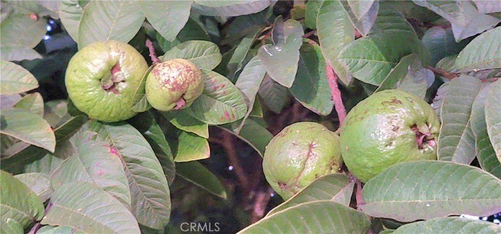 MLS #WS25268038 image #16