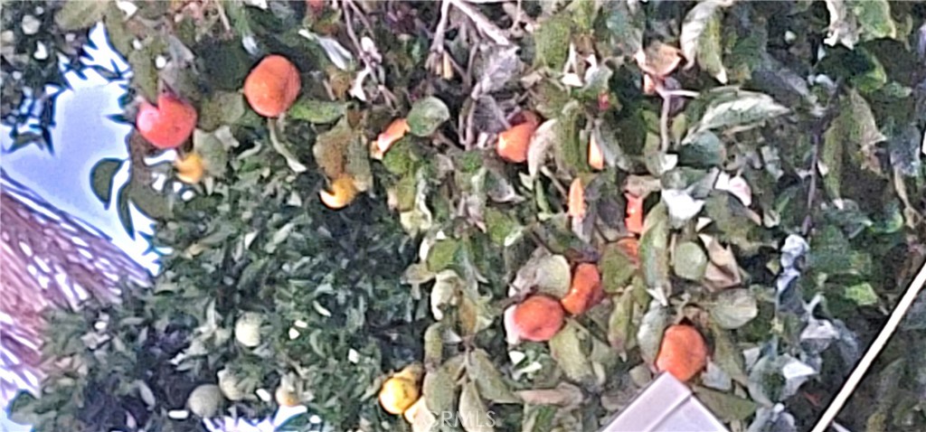 MLS #WS25268038 image #17