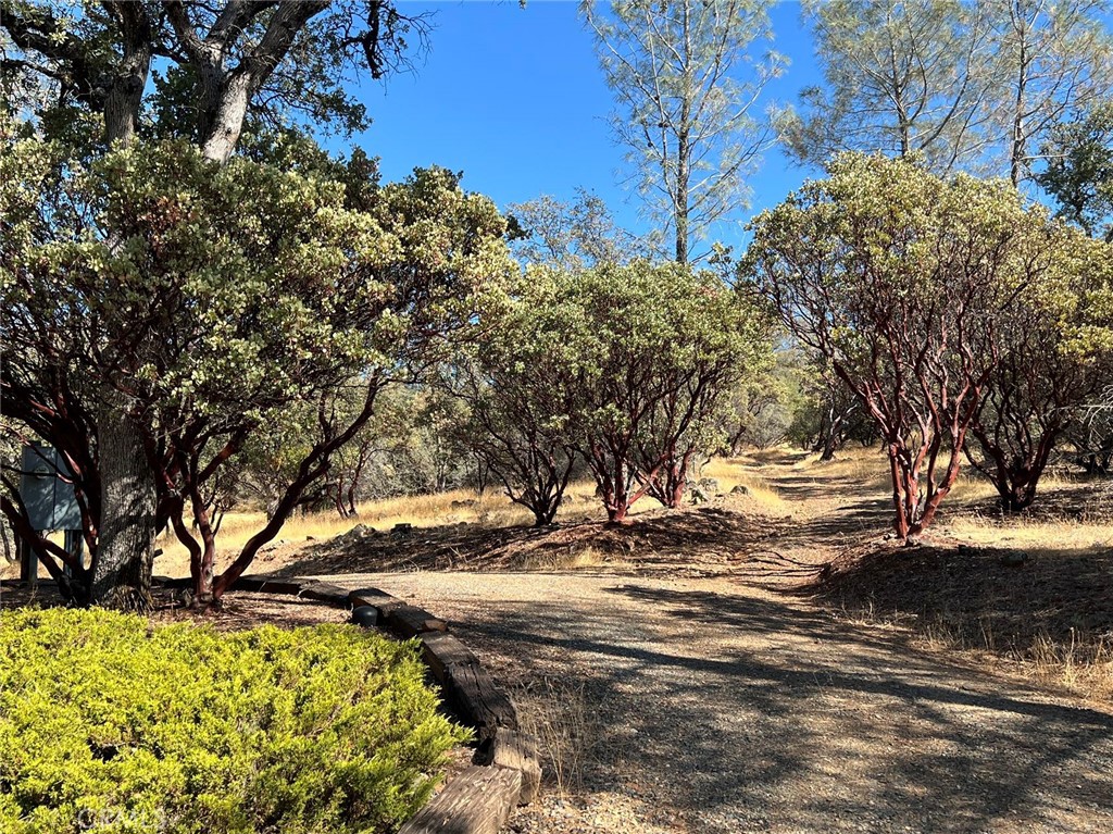 MLS #WS25269931 image #14