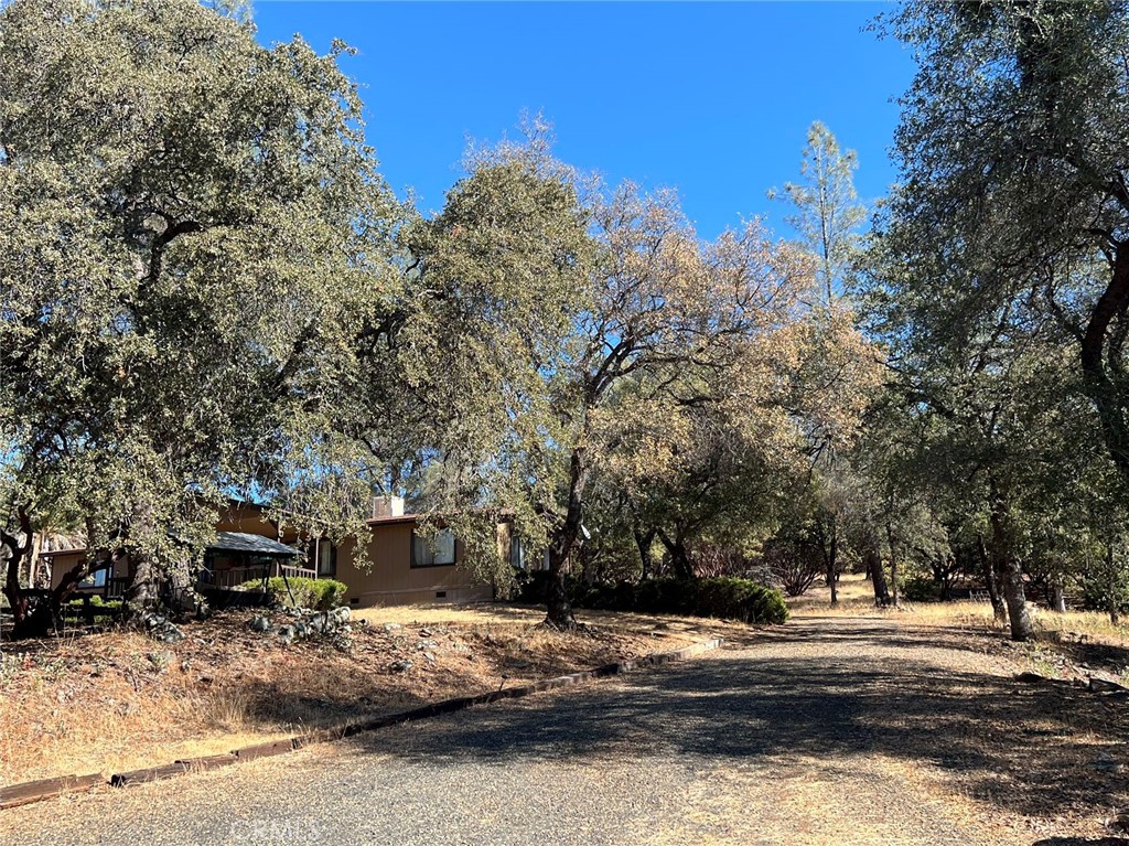 MLS #WS25269931 image #15