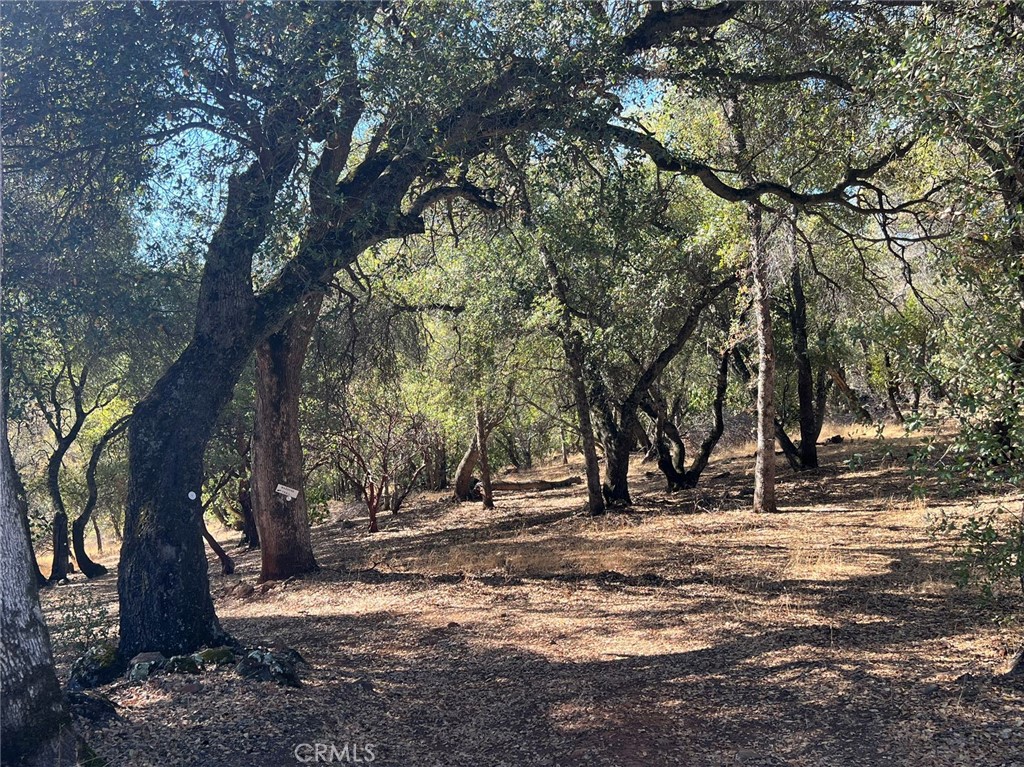 MLS #WS25269931 image #16