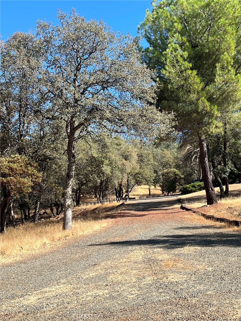 MLS #WS25269931 image #18