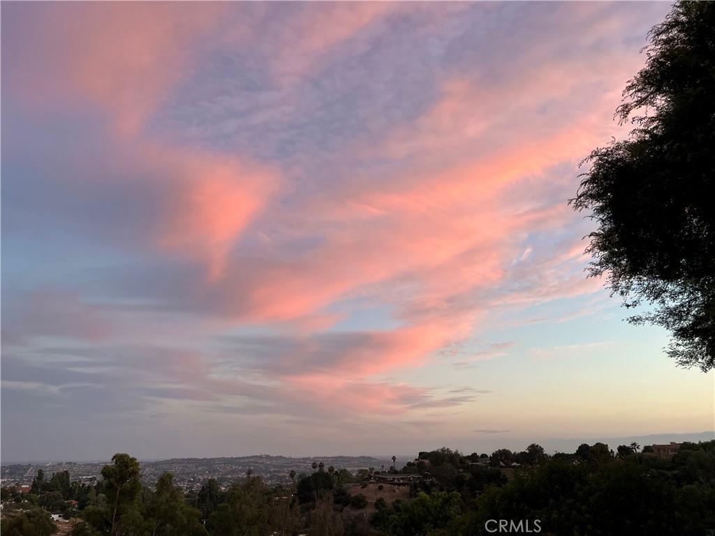 MLS #WS25269979 image #1