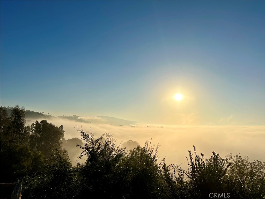 MLS #WS25269979 image #2