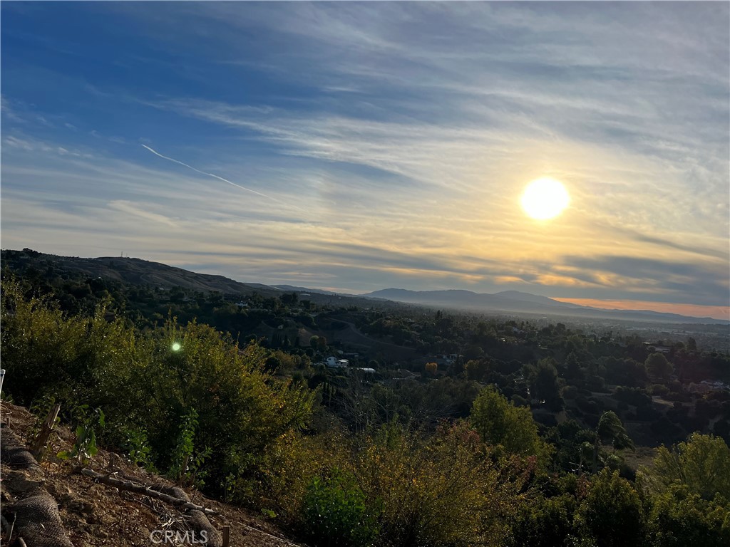 MLS #WS25269979 image #3