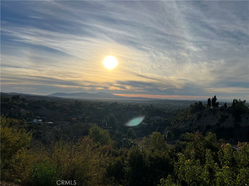 MLS #WS25269979 image #33