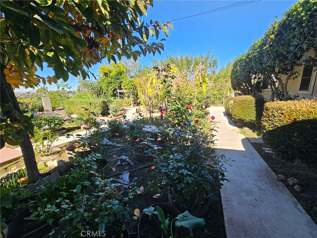 MLS #WS25270449 image #9