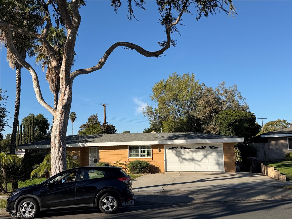 MLS #WS25271072 image #17