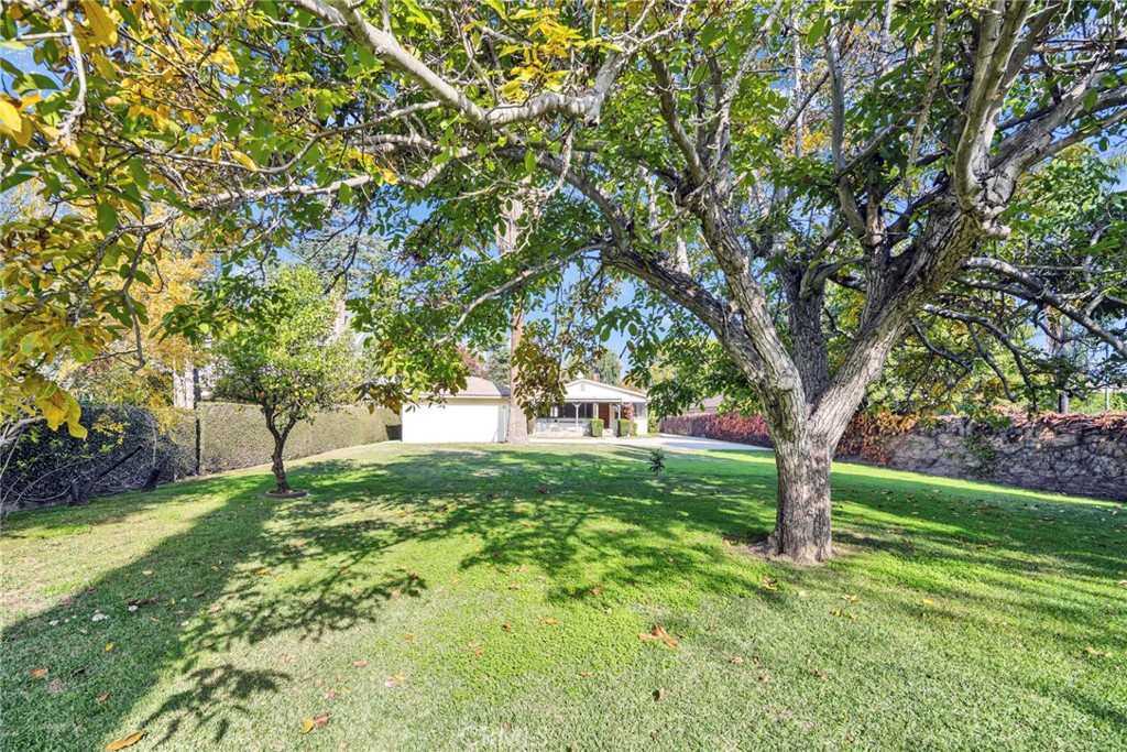 MLS #WS25271938 image #15