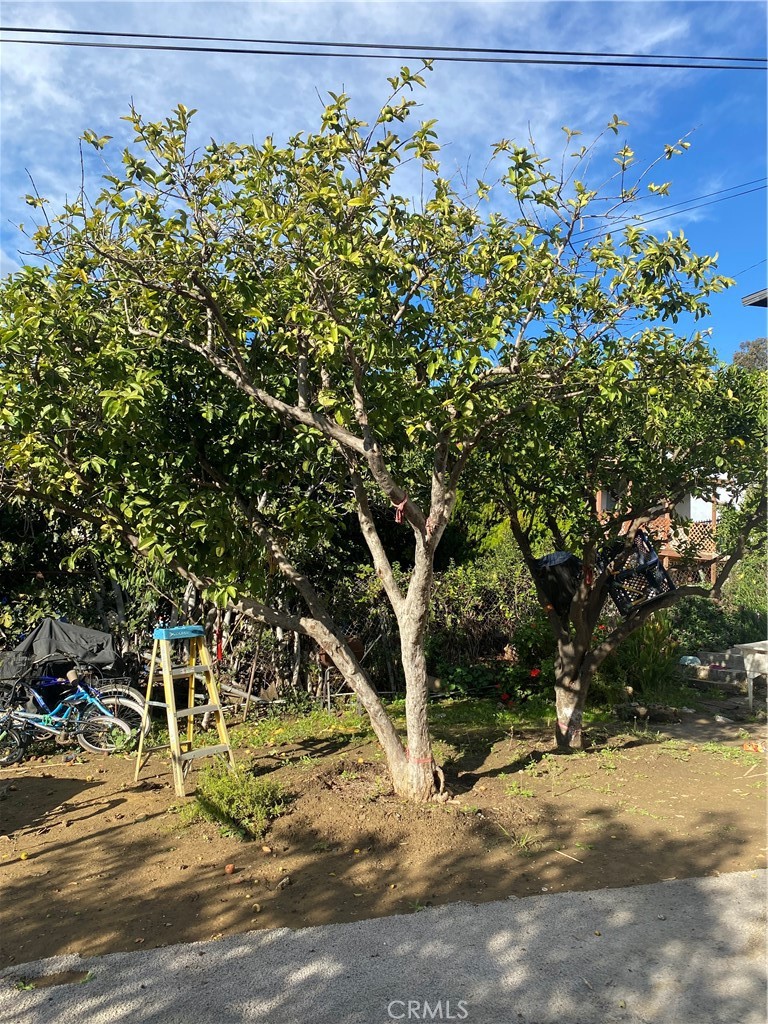 MLS #WS25272996 image #22