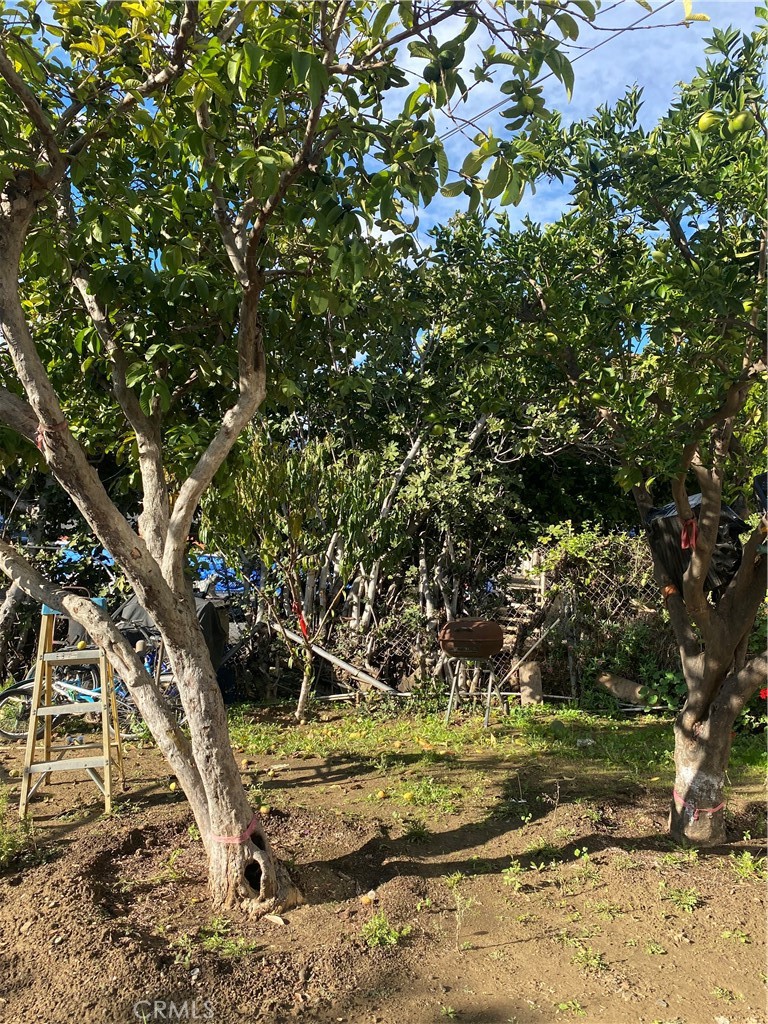 MLS #WS25272996 image #23