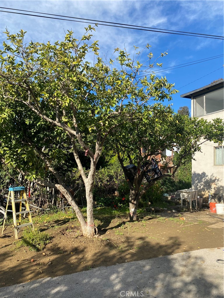 MLS #WS25272996 image #24