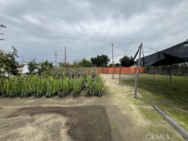 MLS #WS25282460 image #11