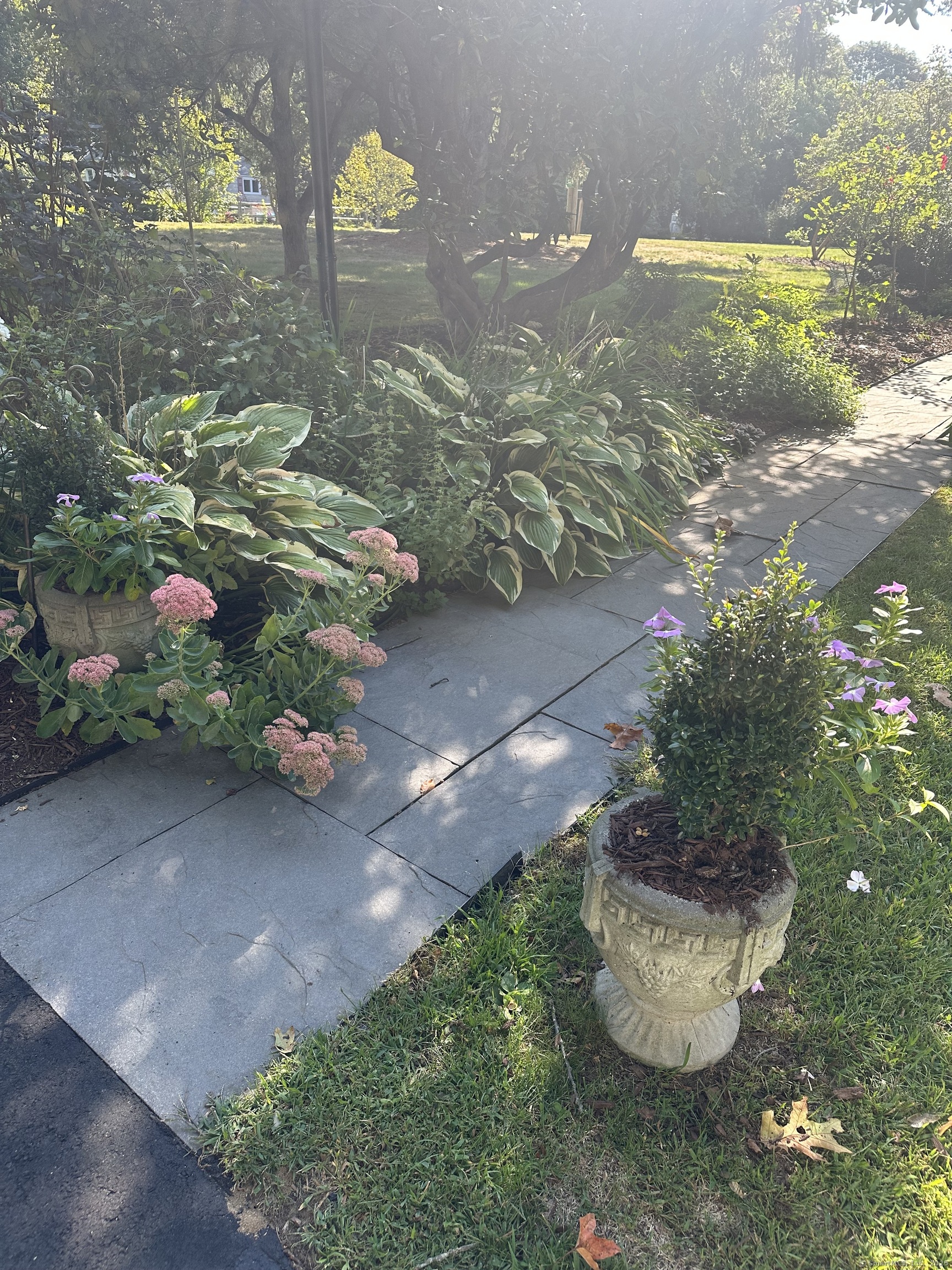 MLS #24126980 image #22