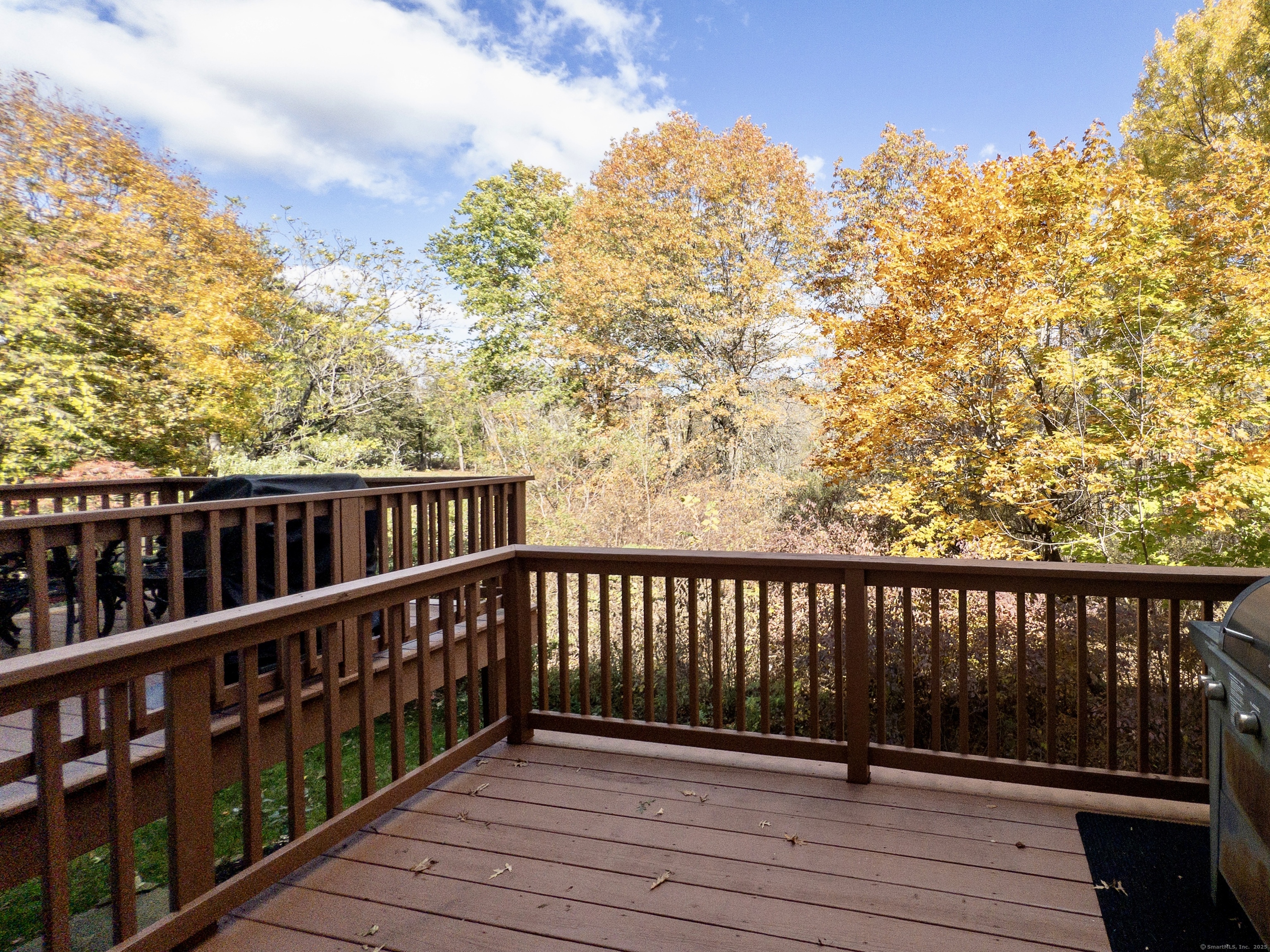 MLS #24135478 image #11