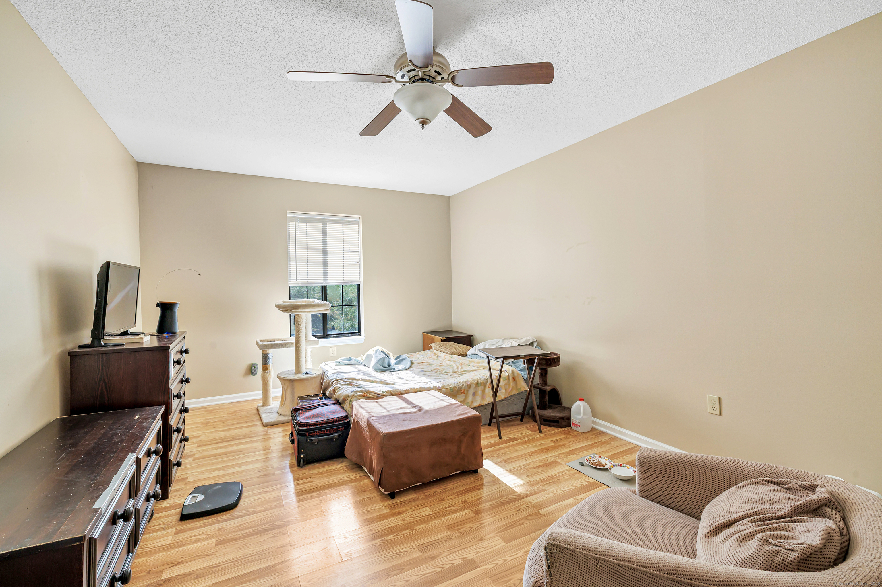 MLS #24135611 image #19