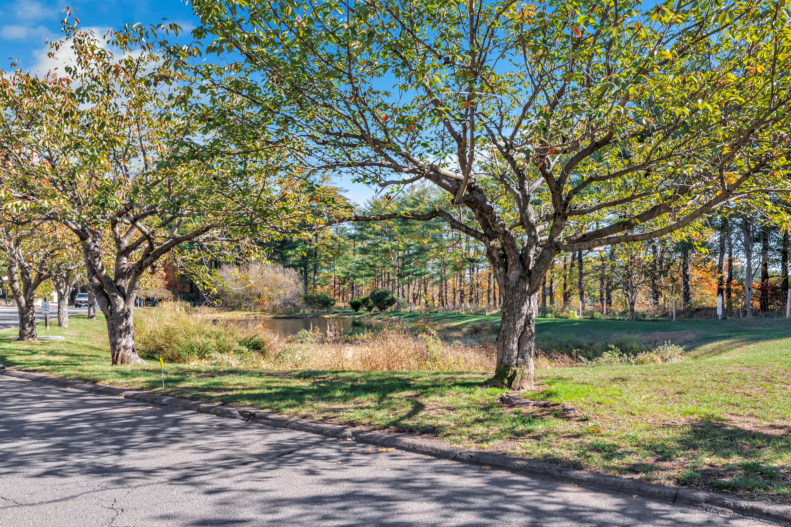 MLS #24135611 image #26